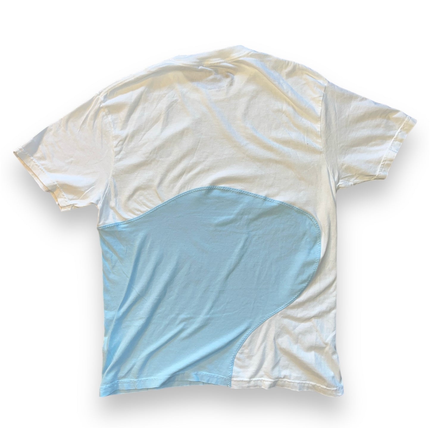 Swan in a Pond T-Shirt