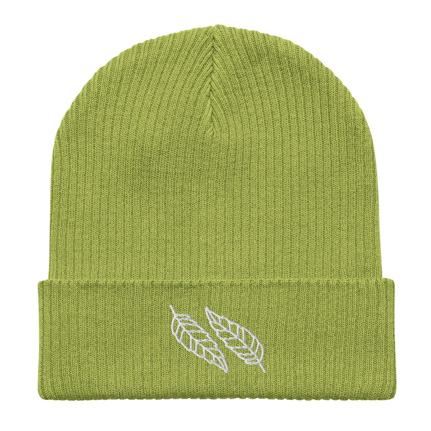 Organic Cotton ribbed beanie