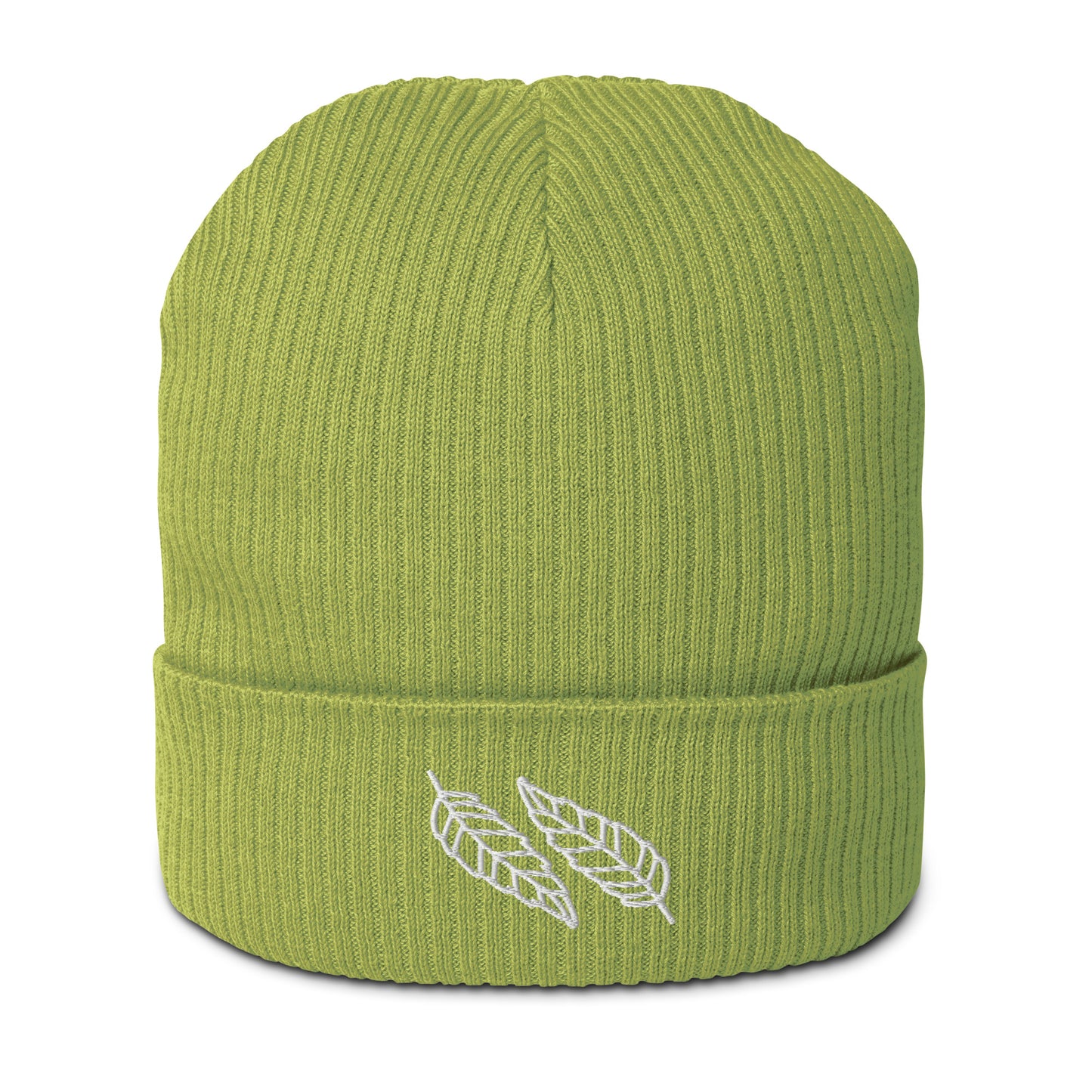 Organic Cotton ribbed beanie