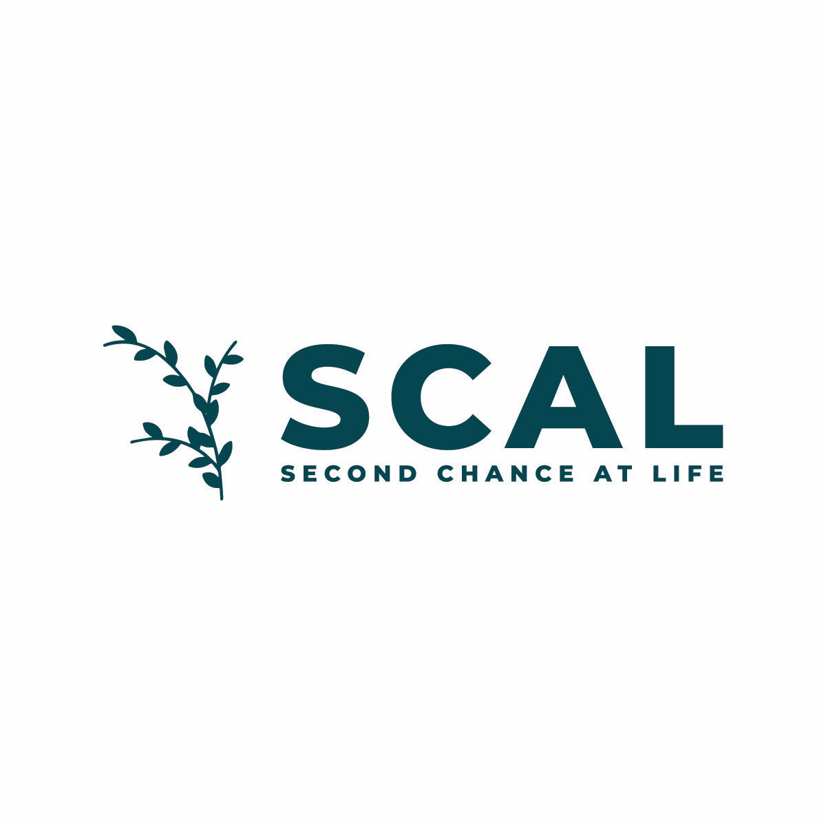Scal Logo SCAL Studio Gift Card